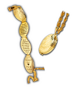 Relikwieënketting (4 foto's)